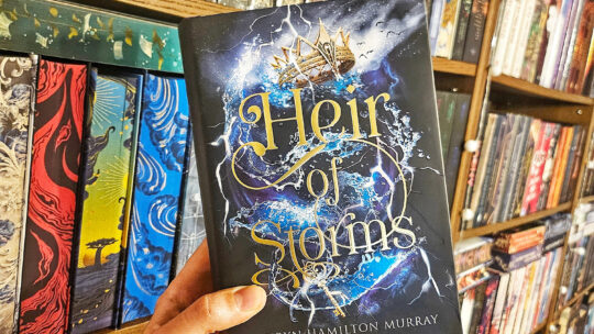 Rezension Heir of Storms von Lauryn Hamilton Murray