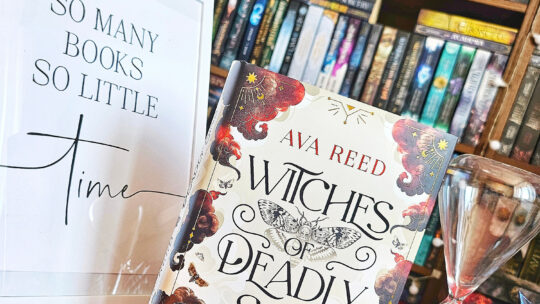 Rezension Witches of deadly sins von Ava Reed